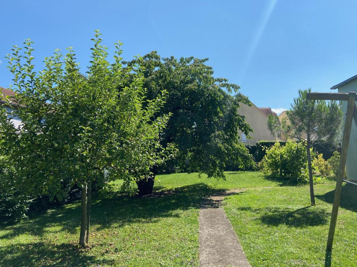 Magnifique Villa A 5 Minutes De Colmar Horbourg Экстерьер фото